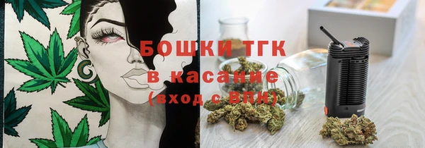spice Богородск