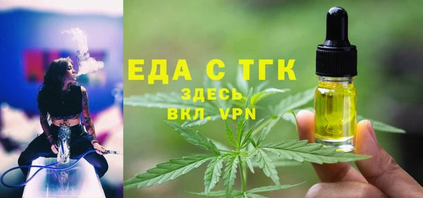 spice Богородск