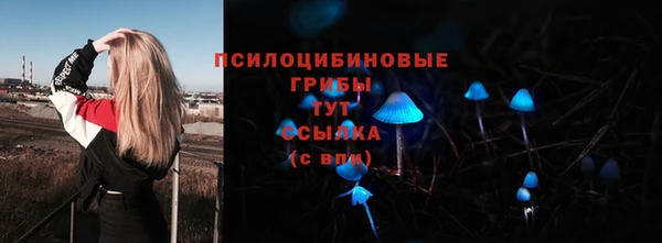 MESCALINE Богданович