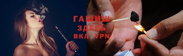 spice Богородск
