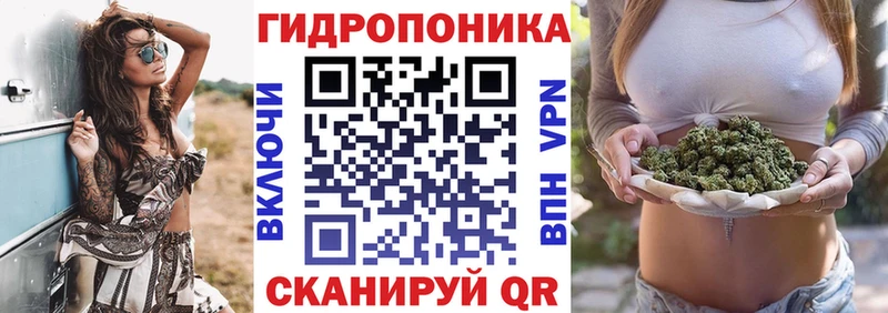 Шишки марихуана Bruce Banner  Кинешма 